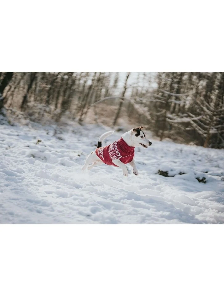 Hunter - Hundepullover Birka 25, rød