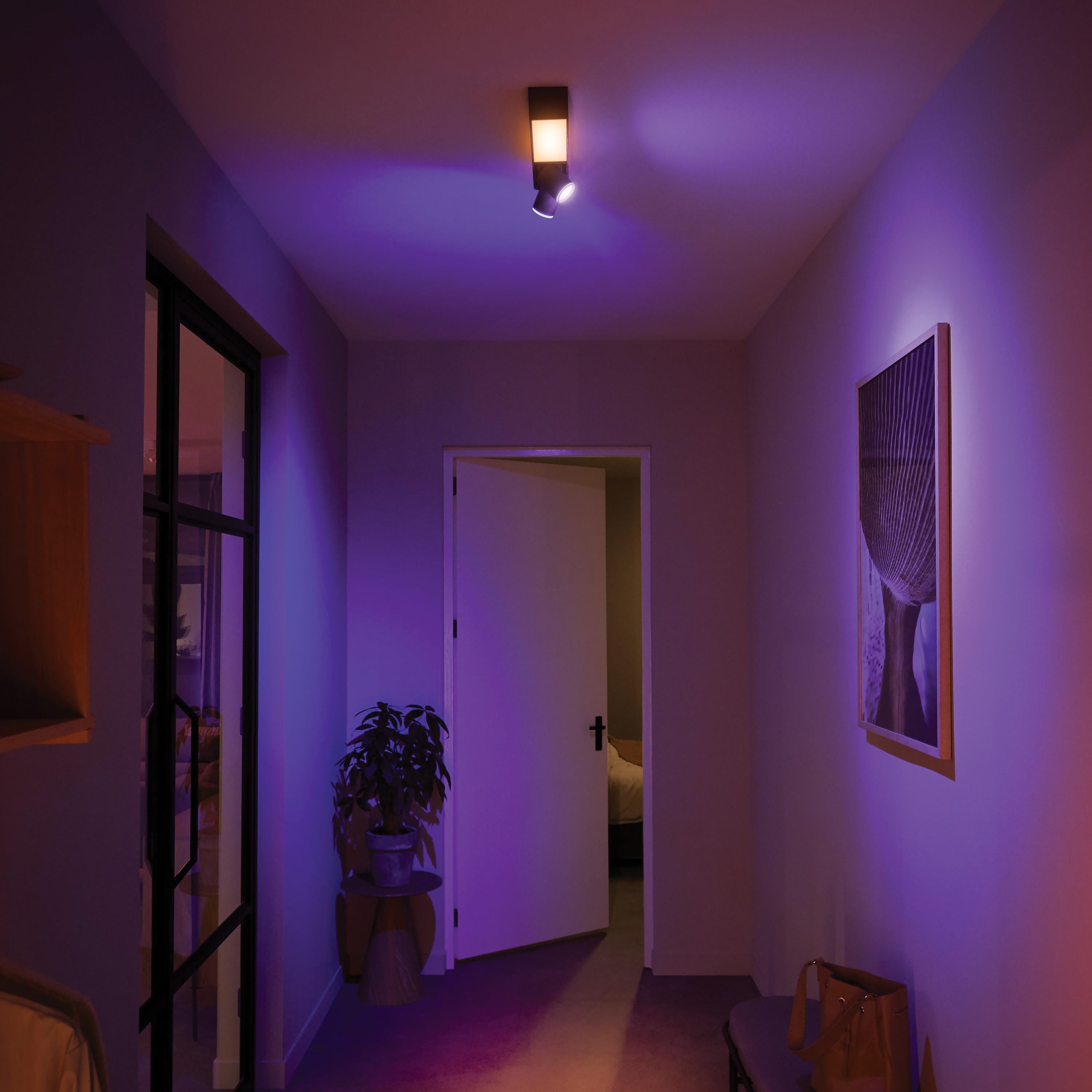 Launch 2024 Philips Hue