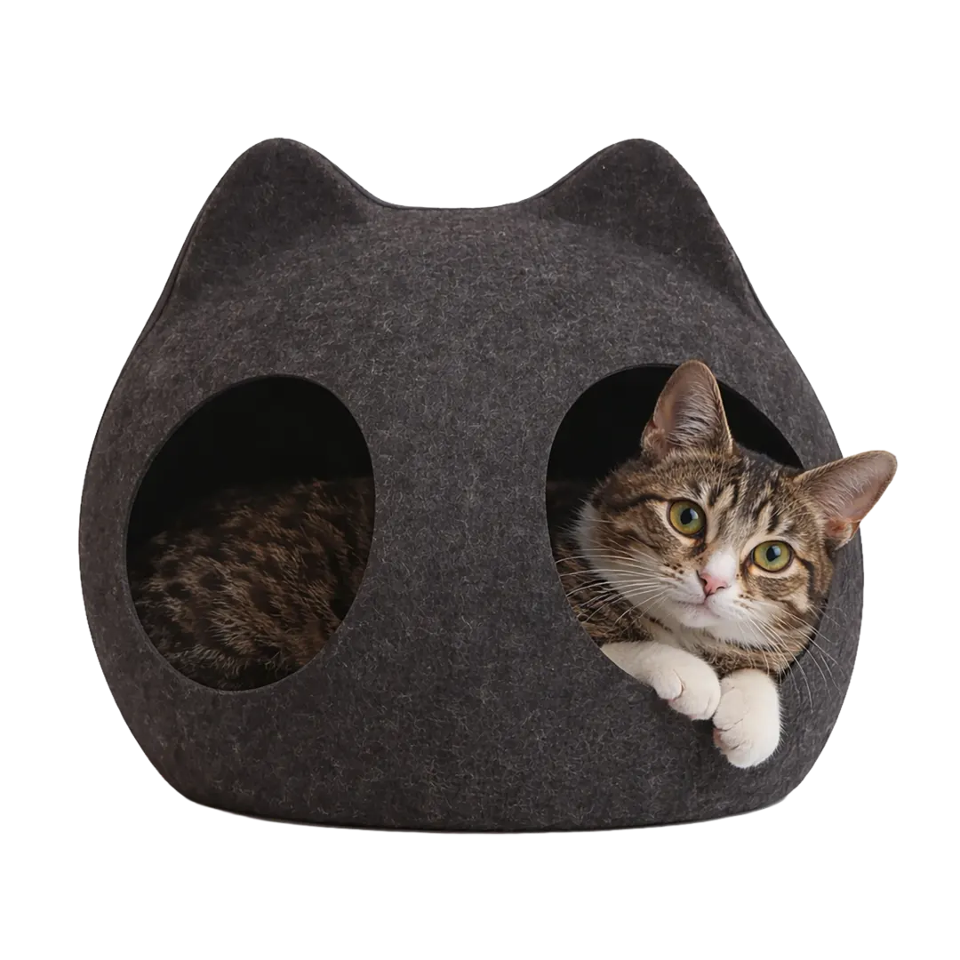 Lit pour chat