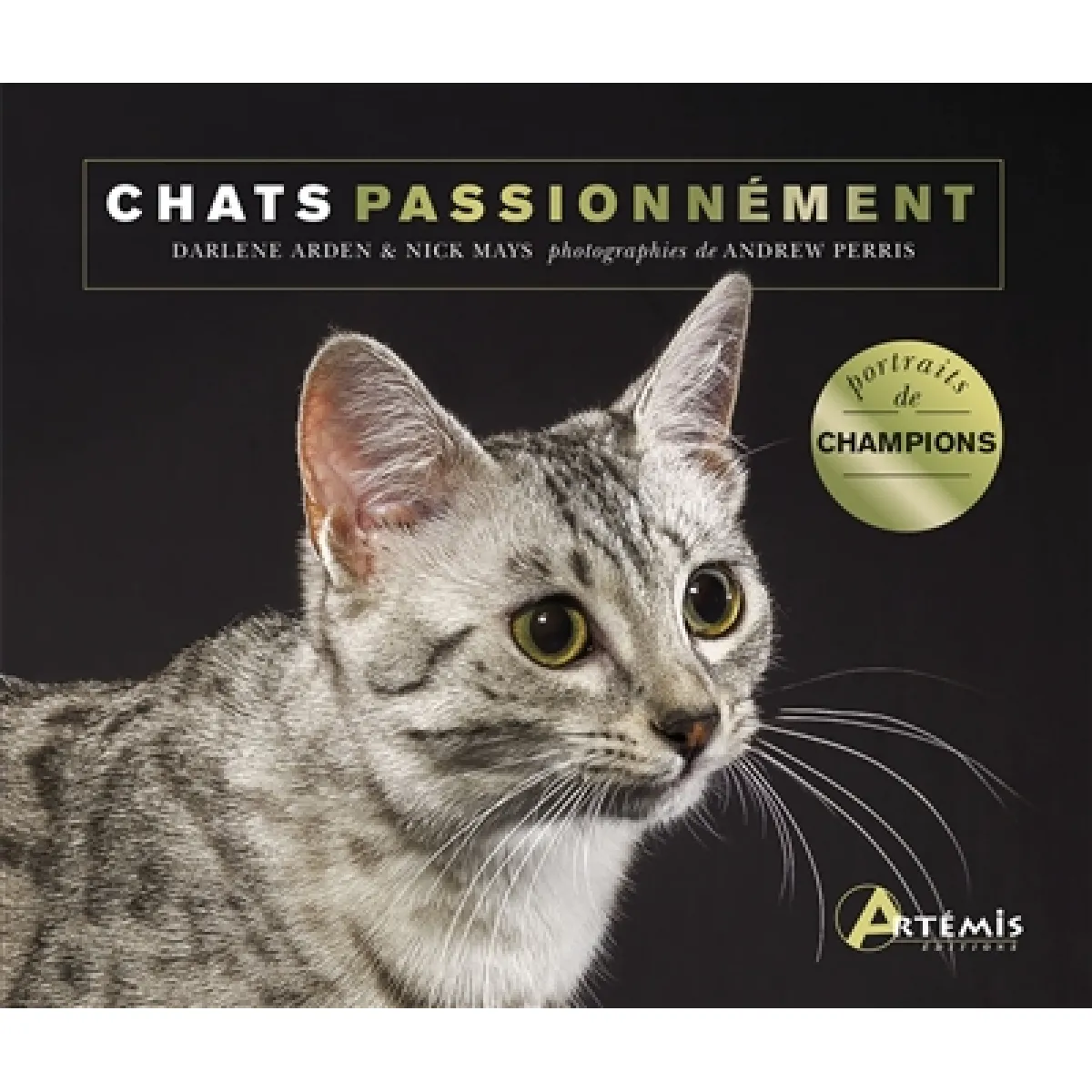 Chats passionnément : portraits de races championnes · Occasion