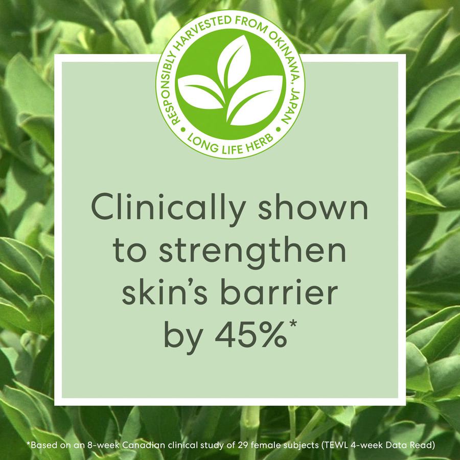 BareMinerals Skinlongevity Long Life Herb Serum 50ml