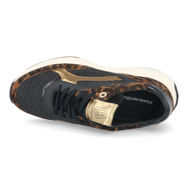 Floris van Bommel SFW-10138 brown