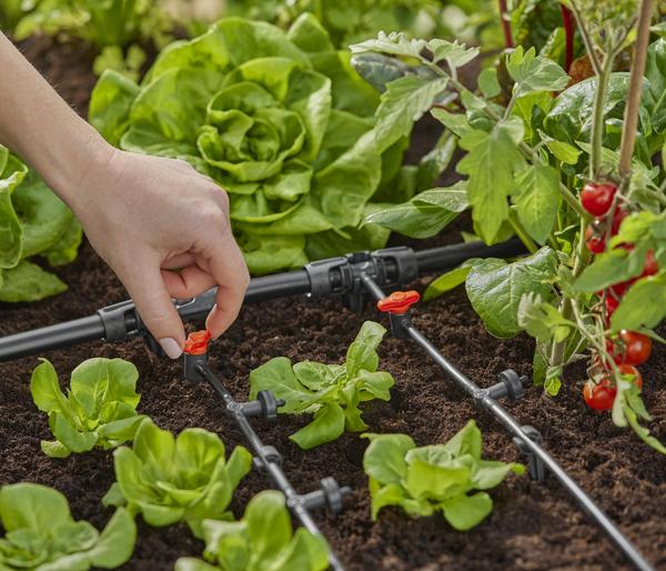 GARDENA Micro-Drip-System Reduzierer, 1/2