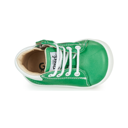 GBB - FOLLIO - Vert