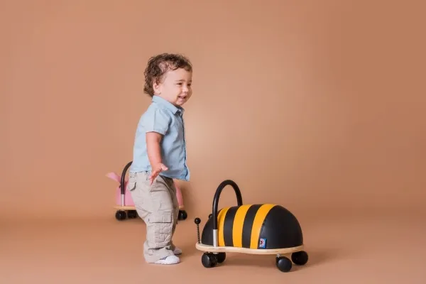 Wheely Bug Bee - Small