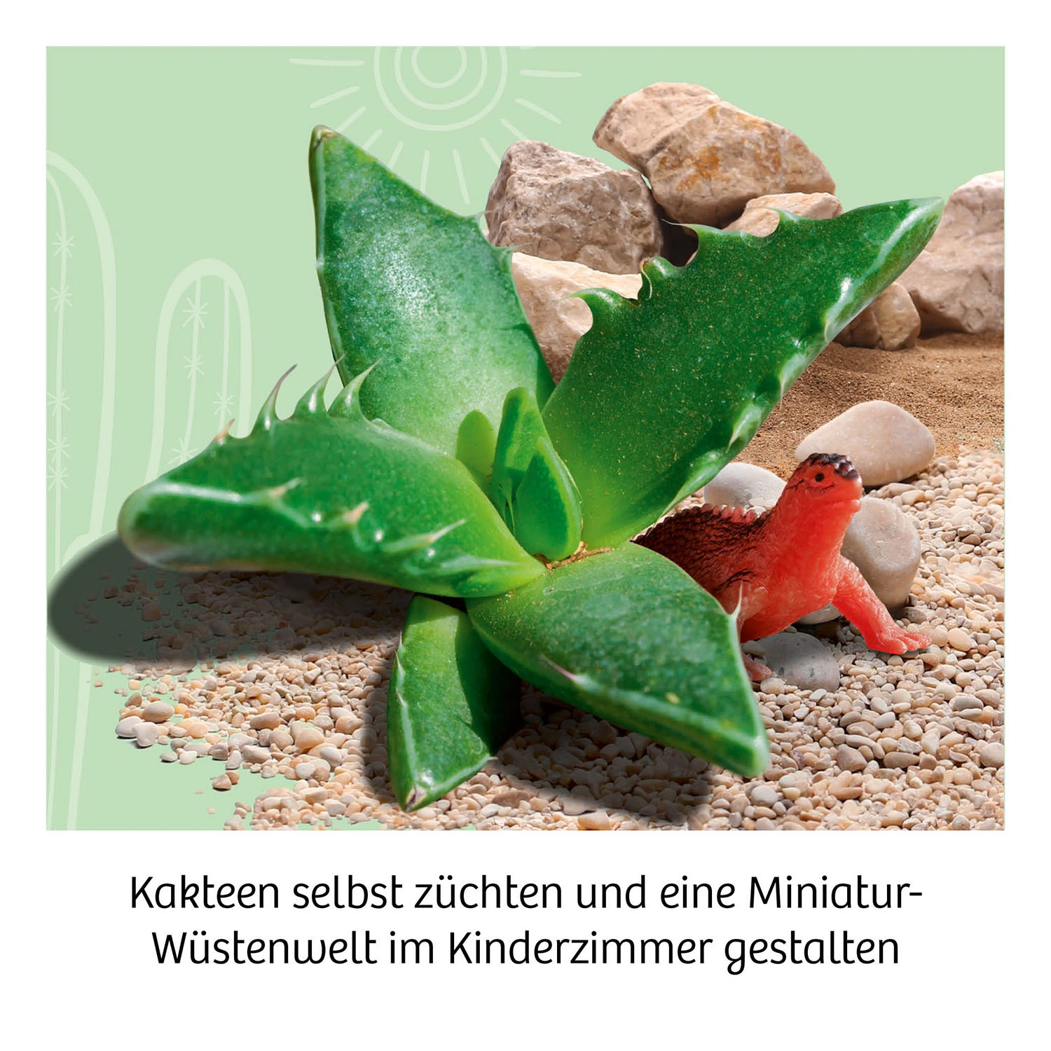 Experimentier-Set KAKTEEN-WÜSTE