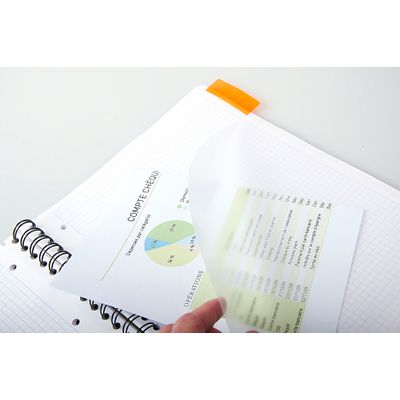 RhodiActive - Cahier à spirale A4+ (22,5 x 29,7 cm) - 160 pages 4 couleurs - petits carreaux (5x5 mm)