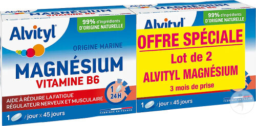 Alvityl Magnésium Vitamine B6 Libération Prolongée 2x45 Comprimés Promo