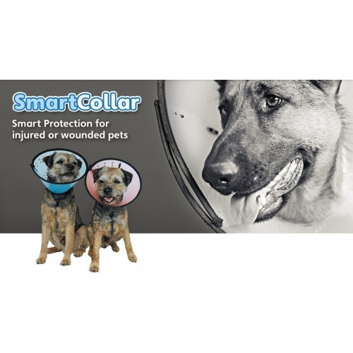 Coleira de recuperação inteligente em forma de cone para cães