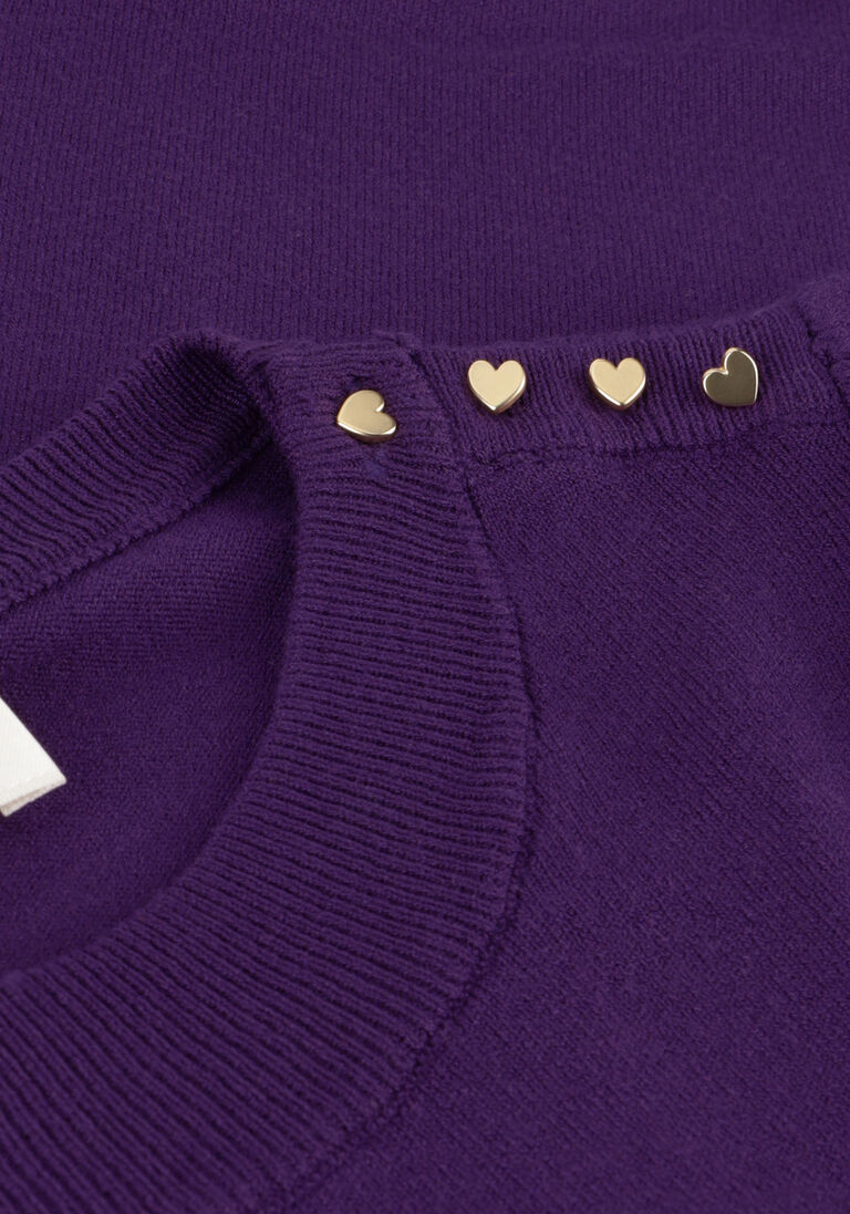 FABIENNE CHAPOT paarse fabienne chapot trui milly pullover 232