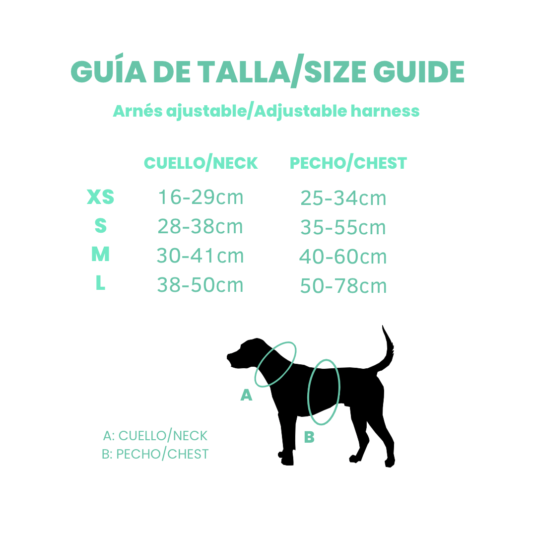 Coleira ajustável para cães com tema de café da manhã