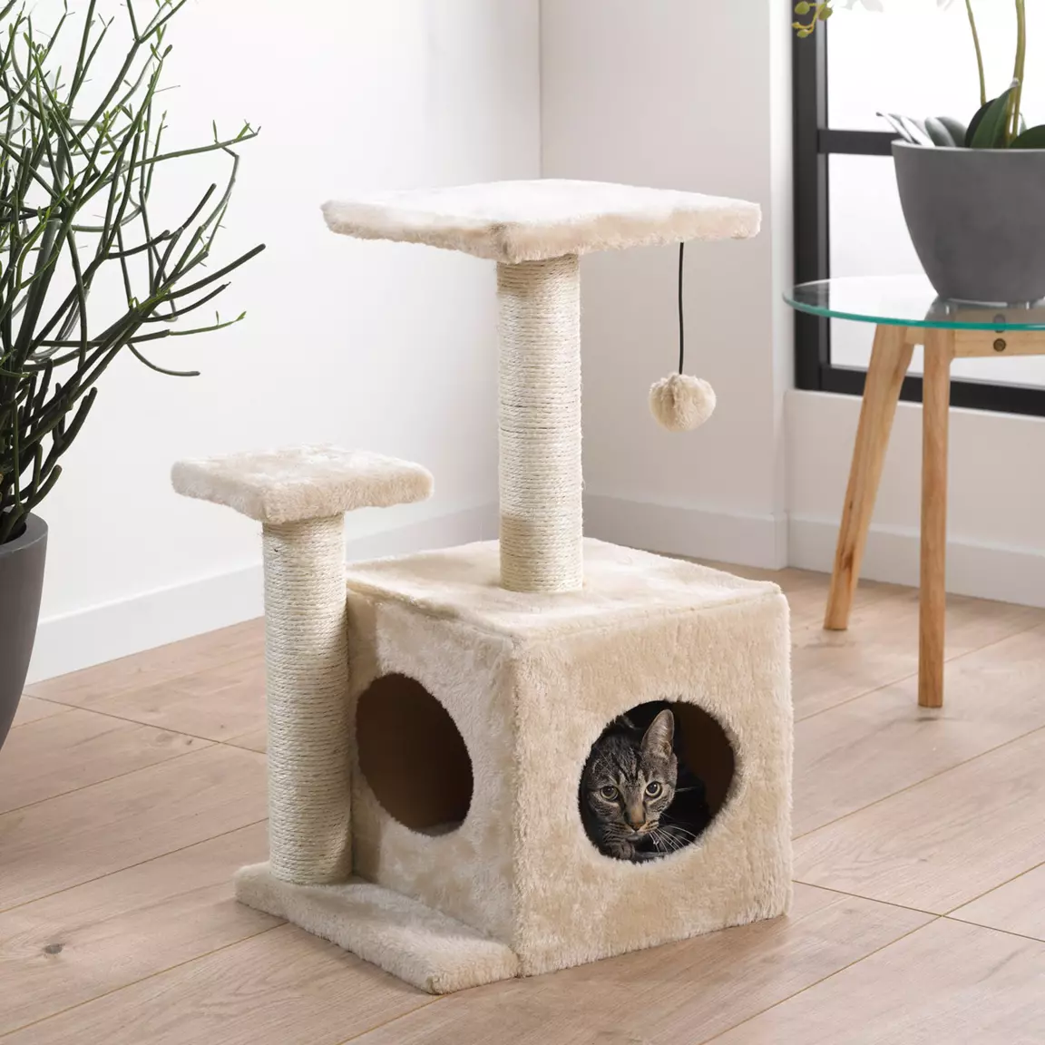 Arbre à chat avec jouet et niche Ecru