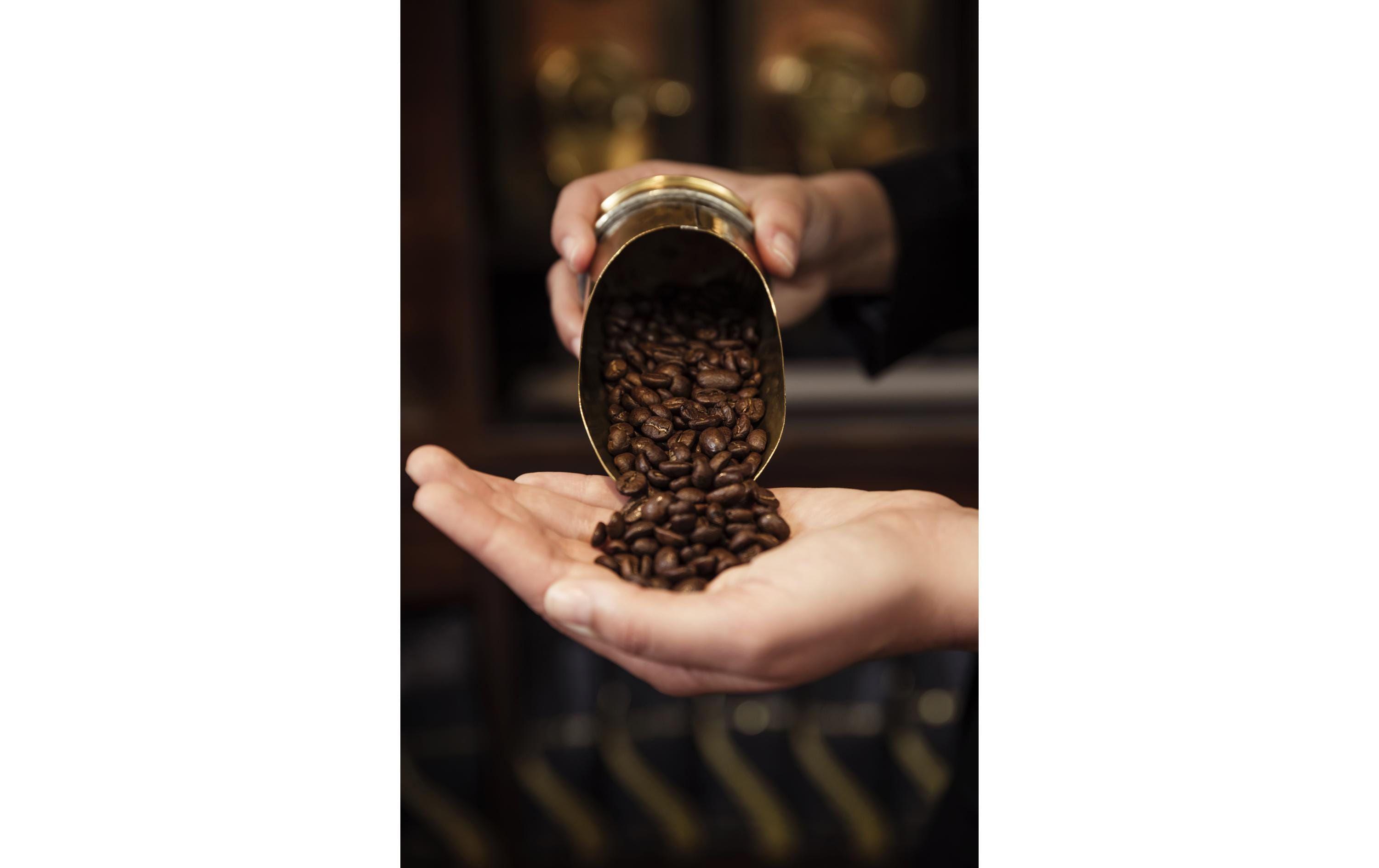 Kaffeebohnen Tosca 1 kgExquisite Gourmet-Mischung Tosca