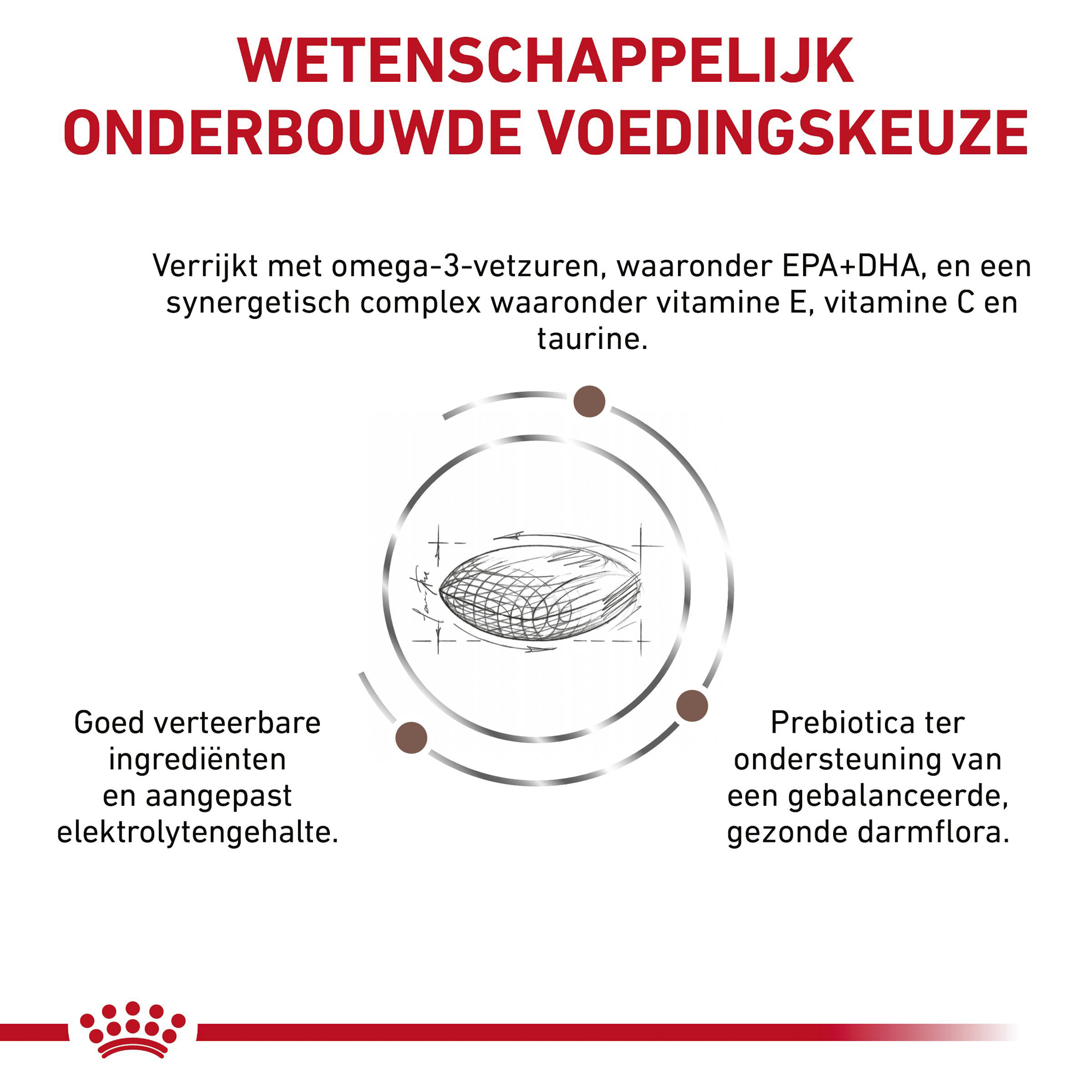 Royal Canin Gastrointestinal Low Fat Kleine Hond