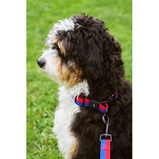 HAY Dog Flat Hundehalsbånd, Red/Blue