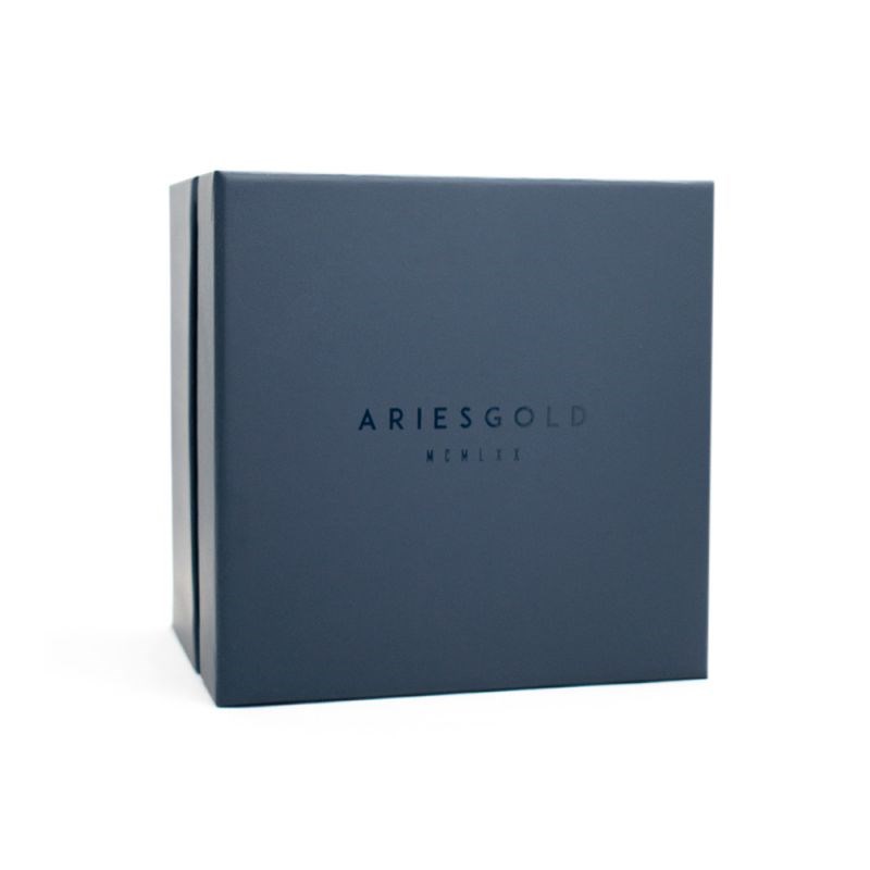 Montre Homme AriesGold Belfast Moon G 7013 RG-BURG