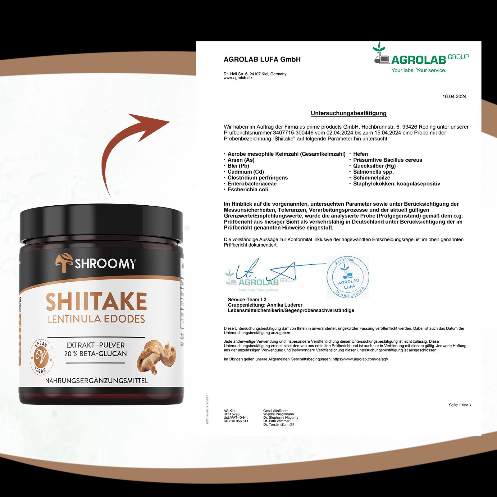 SHROOMY Shiitake Extrakt Pulver