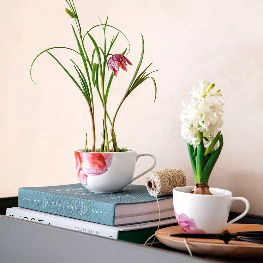 Kaffeetasse Rose Garden 230 ml