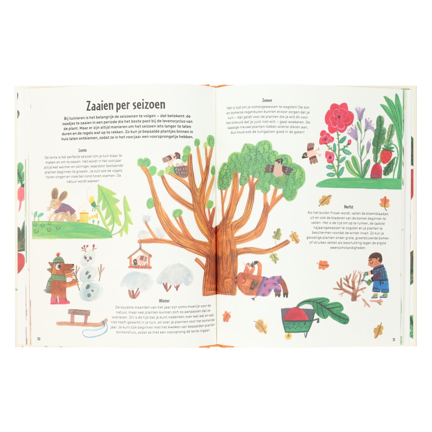 Mijn eerste grote tuinboek, Michael Holland