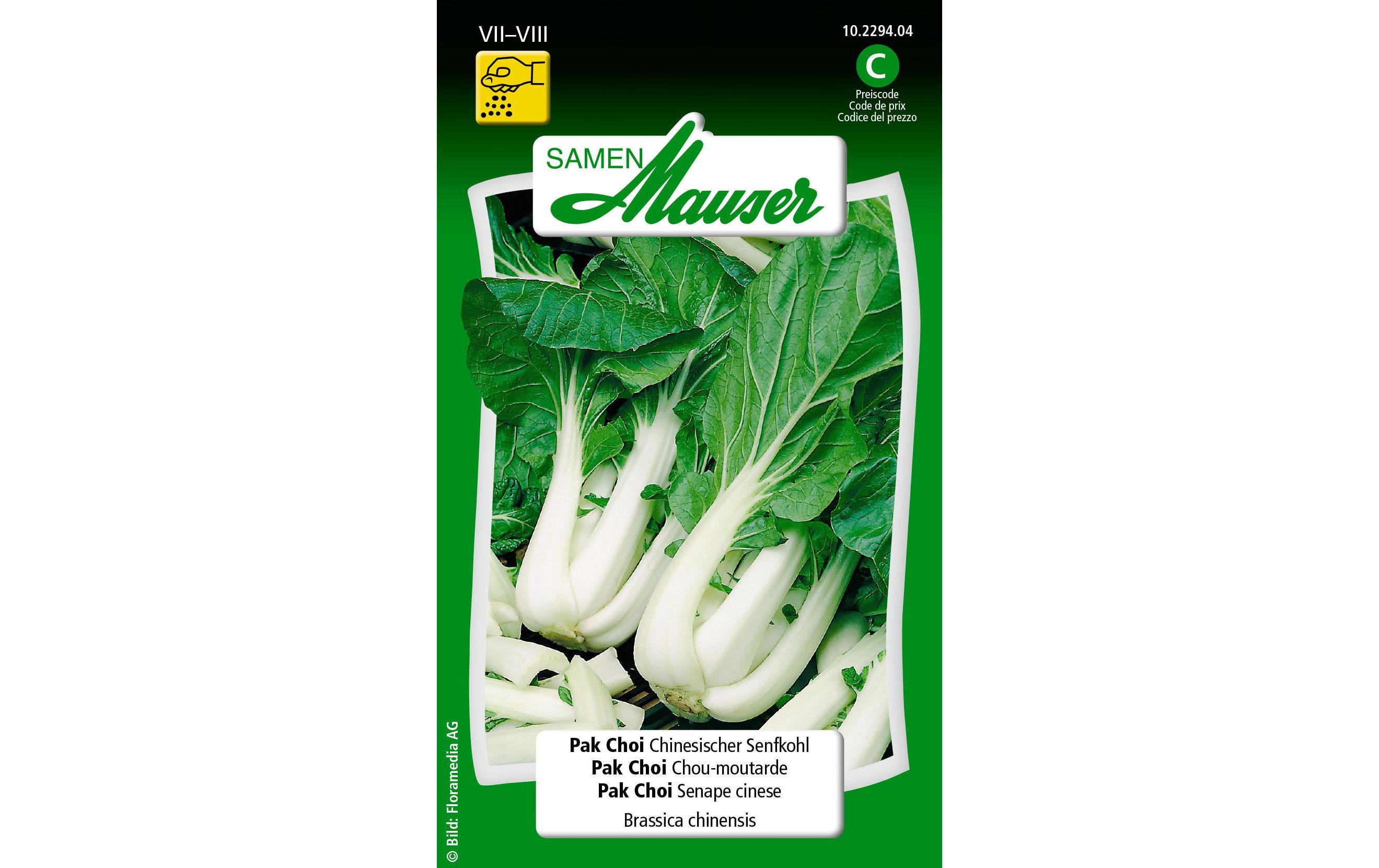 Samen Pak Choi Chinesischer SenfkohlGemüsesamen