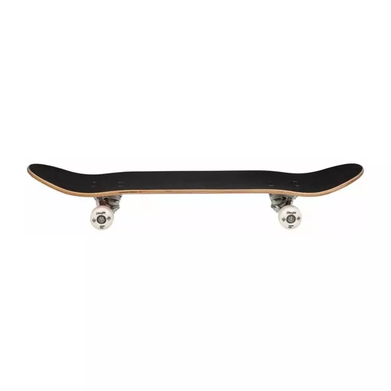 Skate PLAYLIFE Mighty Bear 31x8