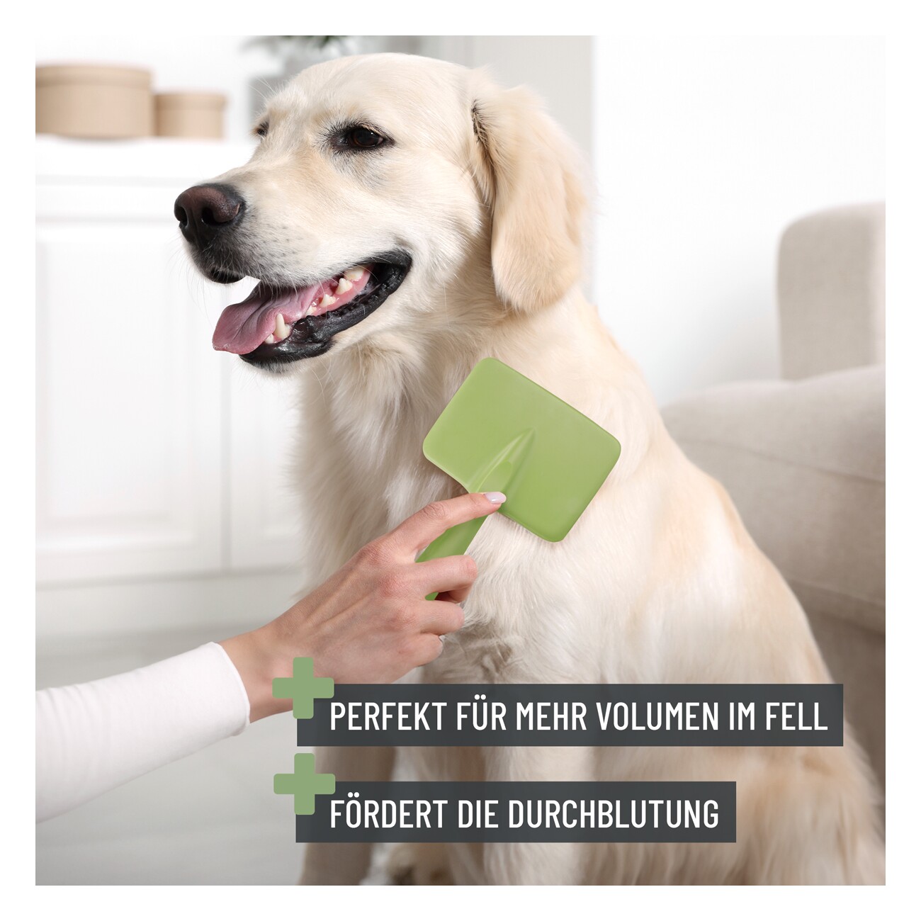 REAVET Zupfbürste für Langhaar (M)