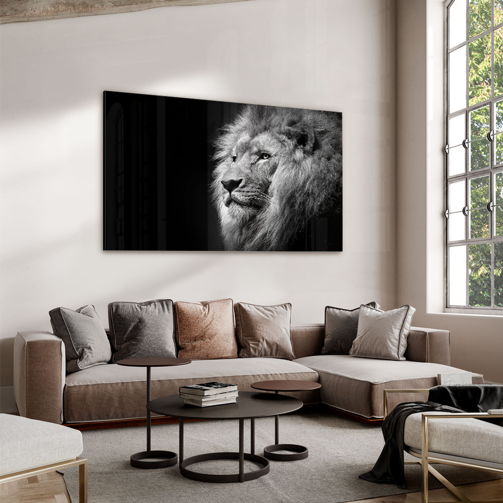 Walljar acrylglas schilderij - Gazing Lion Acrylglas schilderij - 70 x 100 cm