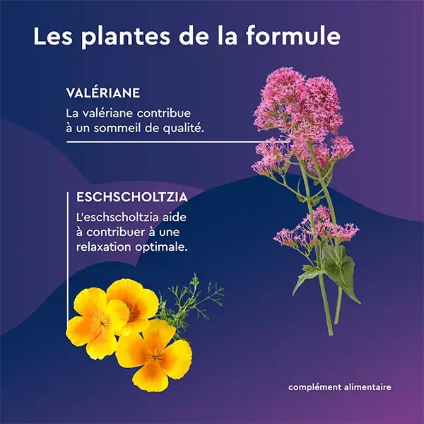 EuphytoseNuit® LP 1,9 mg mélatonine 15 comprimés à libération prolongée