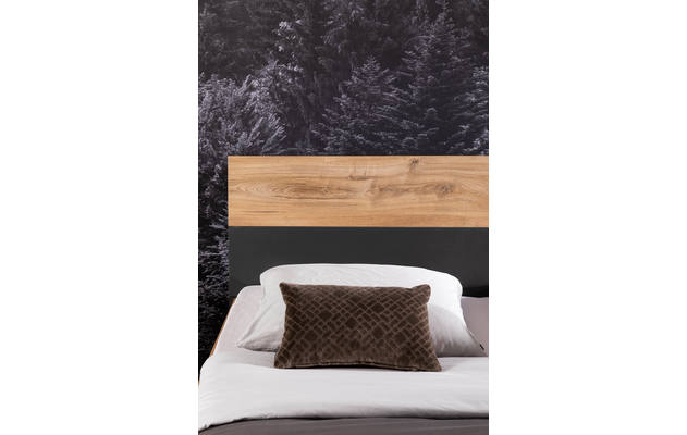 Bedframe Industrial