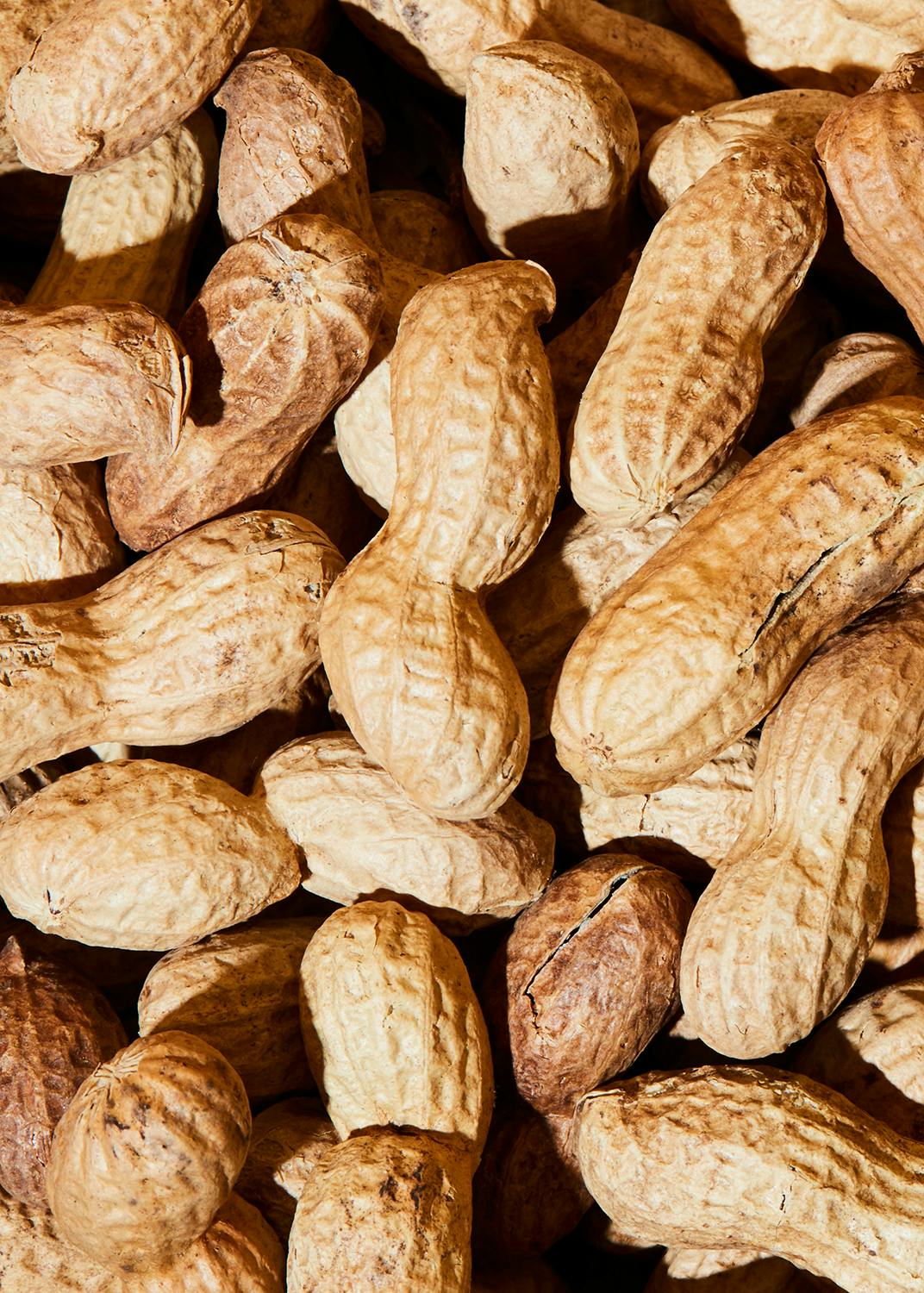 Bio Erdnüsse mit Schale 1 kg