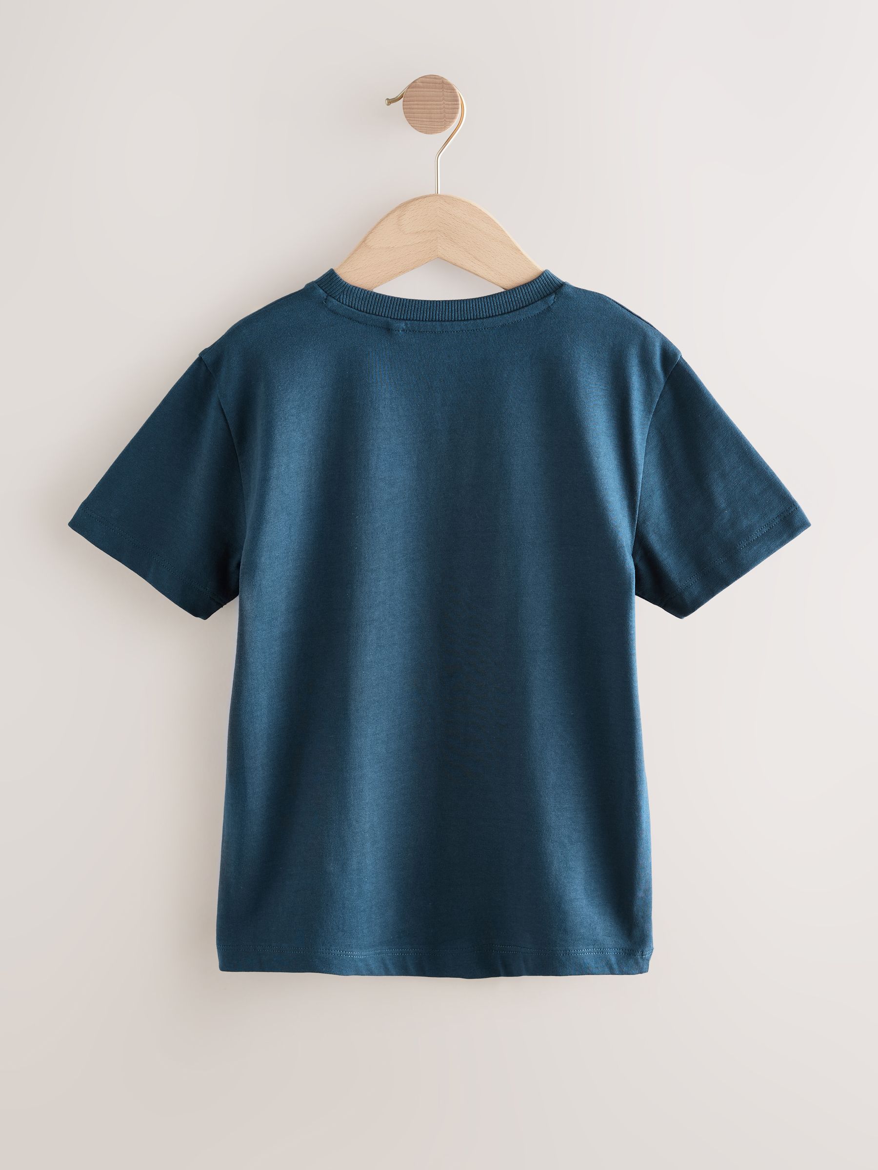 Blauw Best Bro - Regular fit T-shirt met korte mouwen en grafische print (3-16jaar)