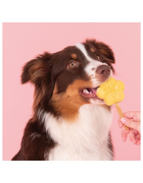 Smoofl Honden Ijsvorm - Hondensnacks - Roze M