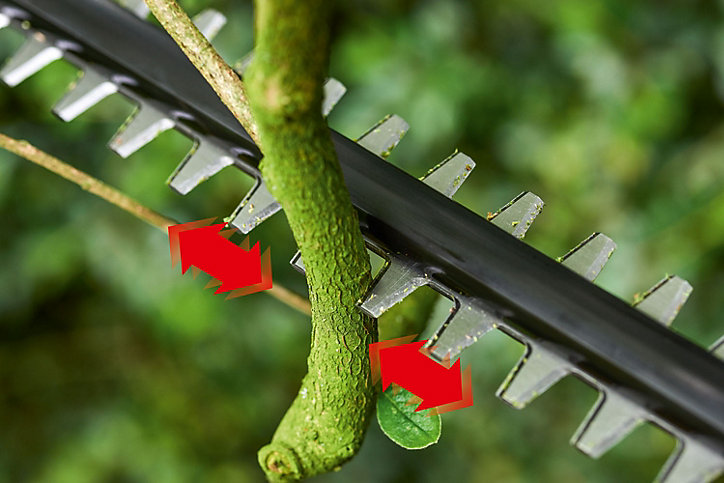 Taille-haies sur perche sans fil sur batterie 18V Bosch UniversalHedgePole (sans batterie)