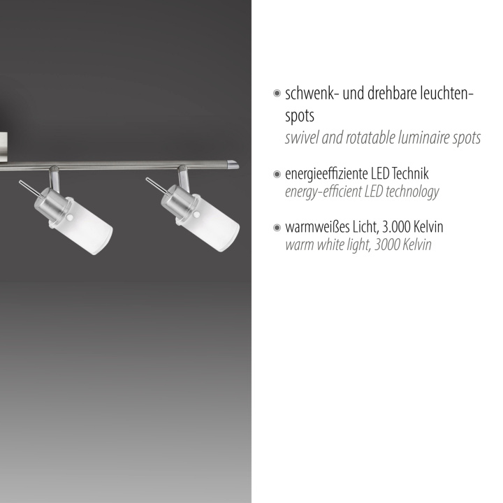 Deckenleuchte MAX LED