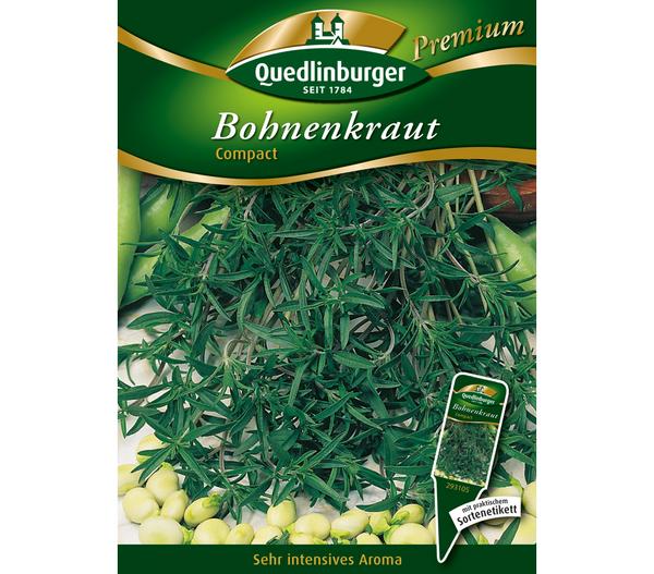 Quedlinburger Samen Bohnenkraut 'Compact'