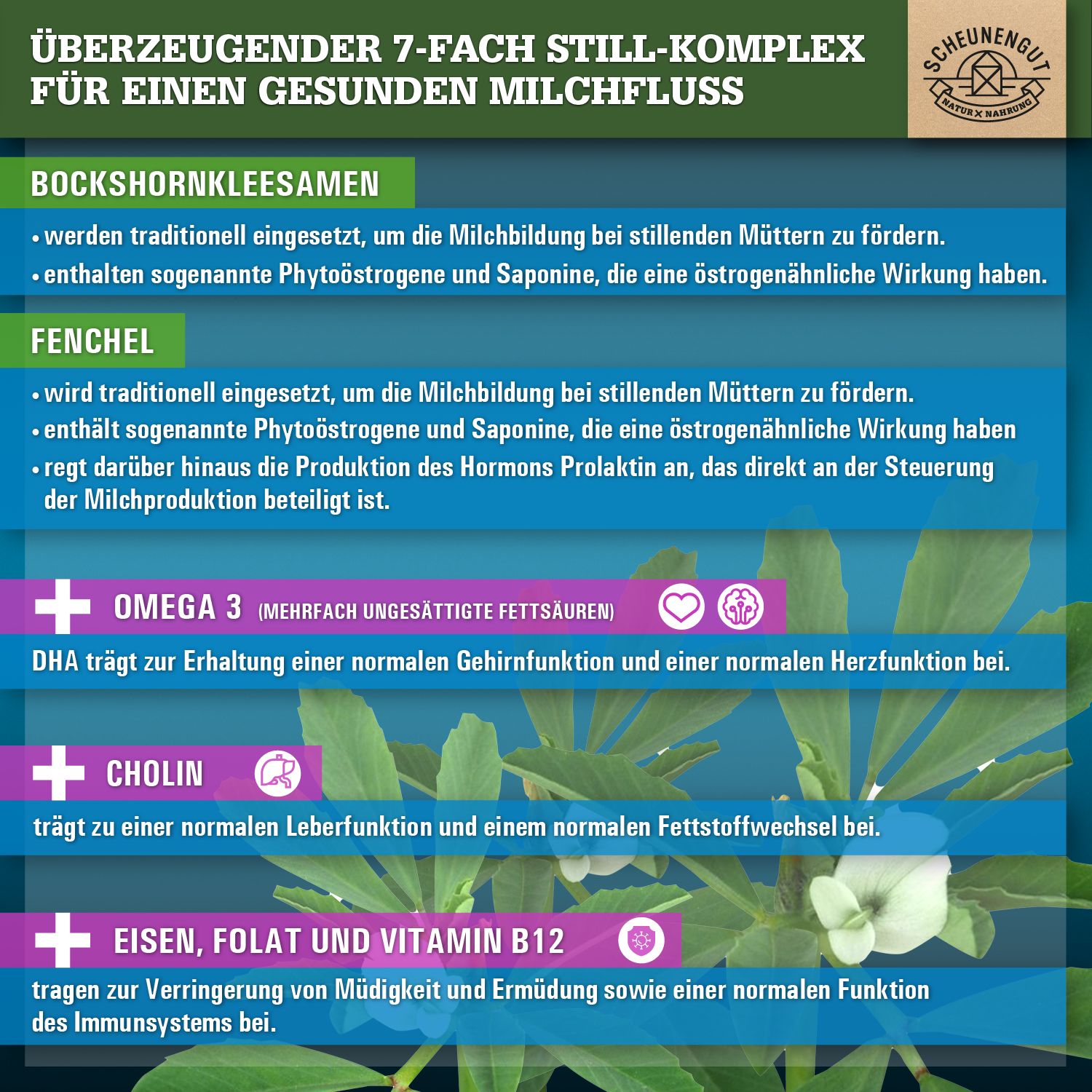 Scheunengut® MAMASMILCH | Still-Komplex mit Bockshornklee, Fenchel, Omega 3, DHA, Folsäure & Cholin