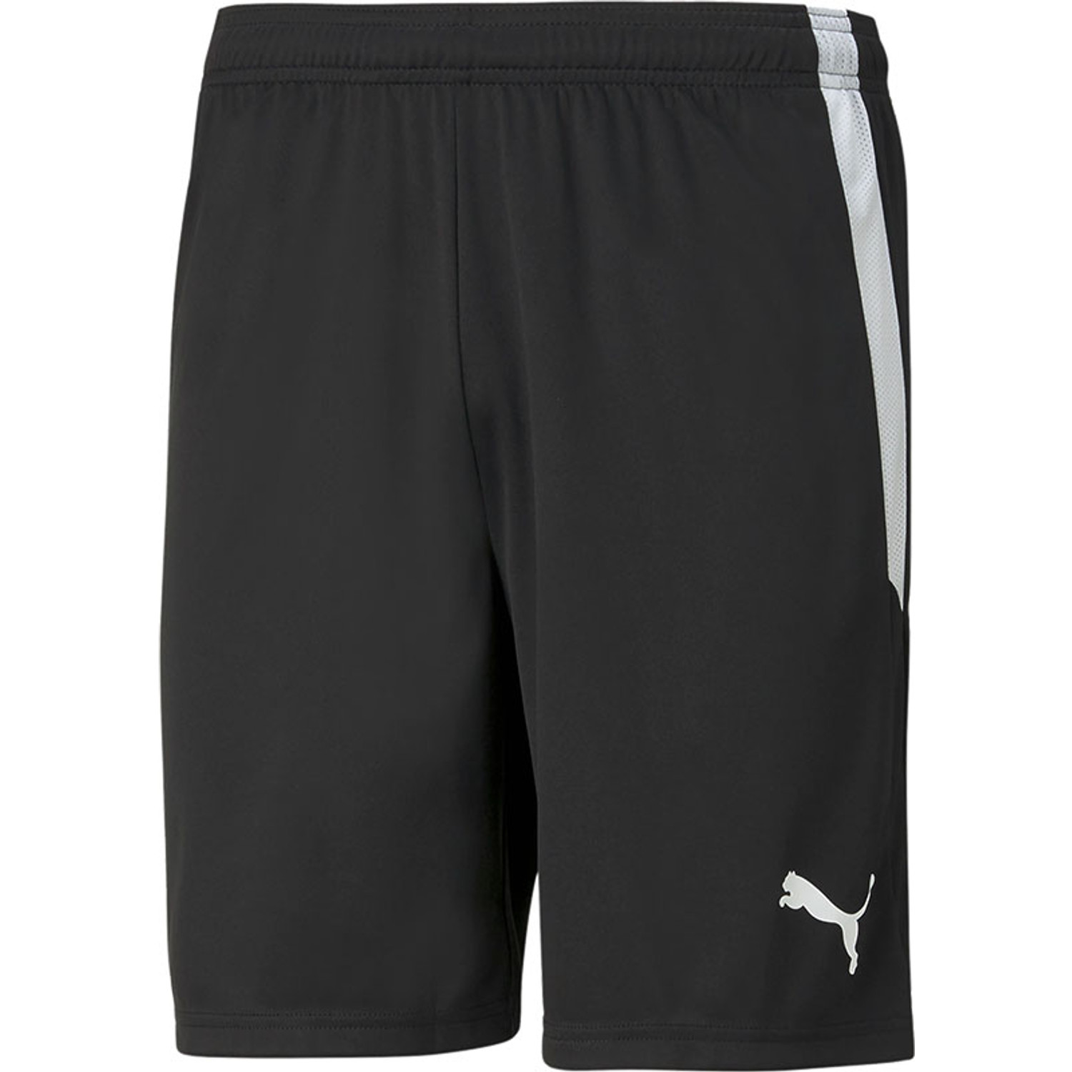 Puma LIGA Trainingsset