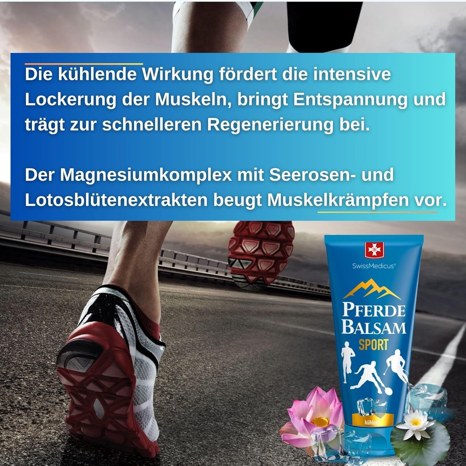 SwissMedicus Pferdebalsam Sport