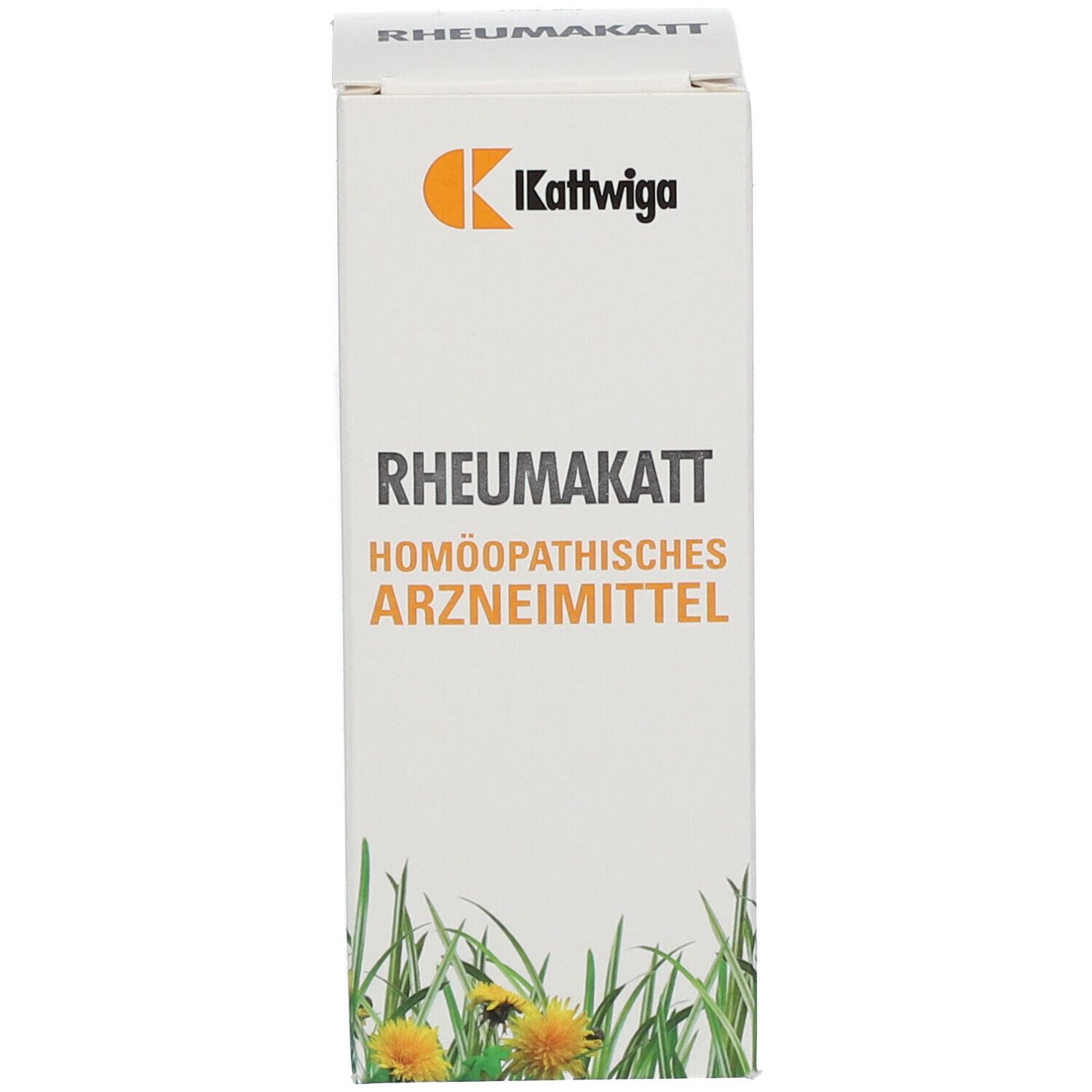 Rheumakatt