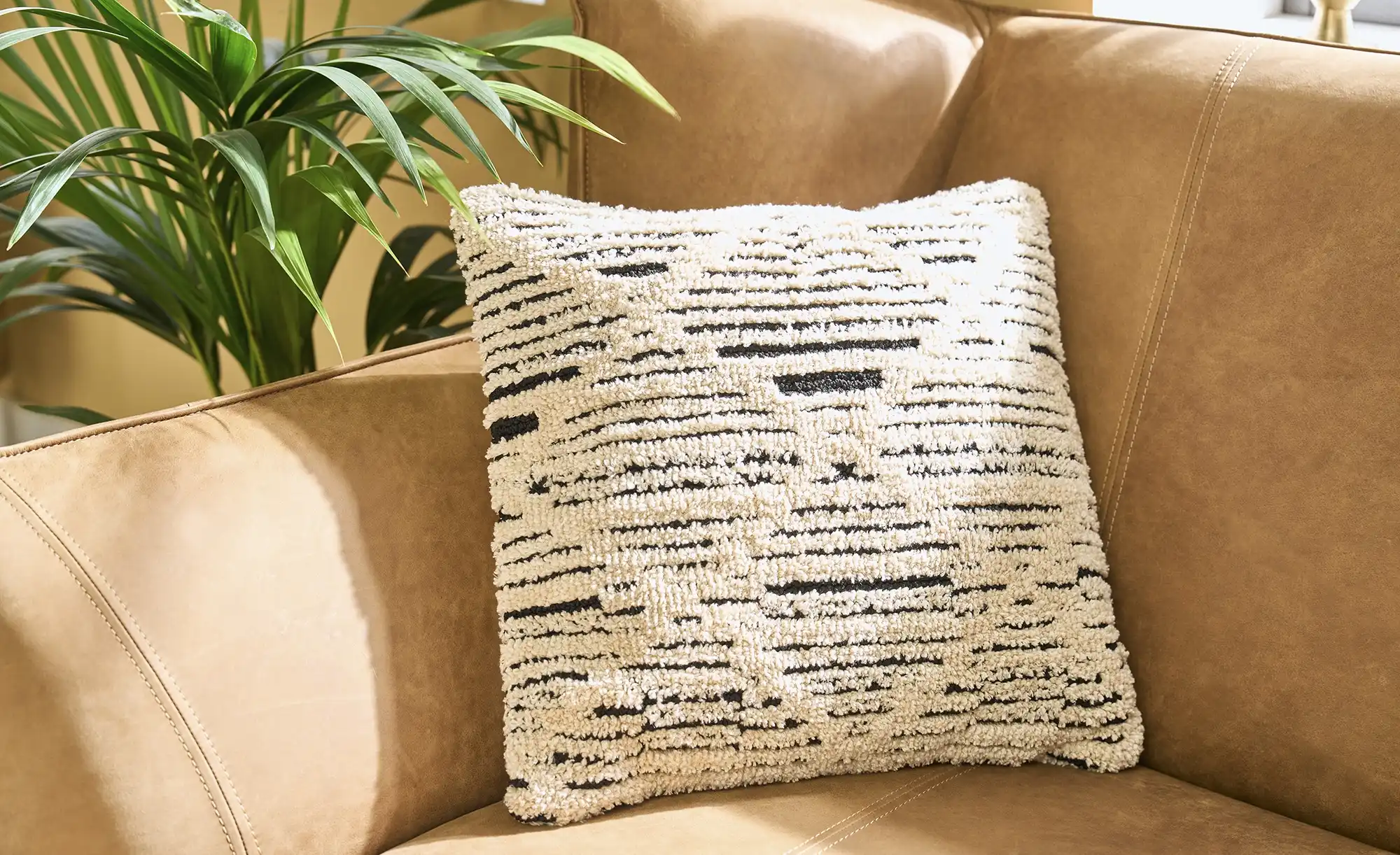 Gray & Jones Kissen Black Coast