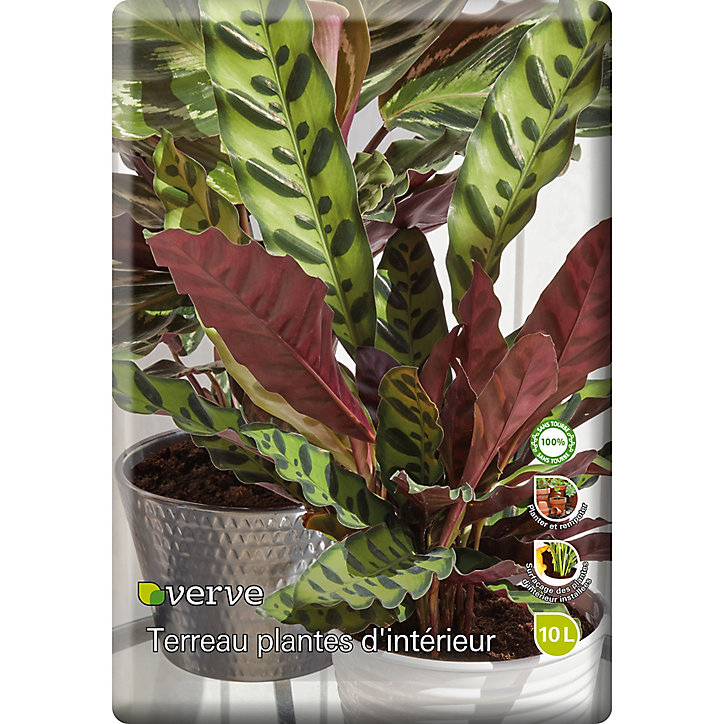 Terreau plantes d'intérieur sans tourbe Verve 10L