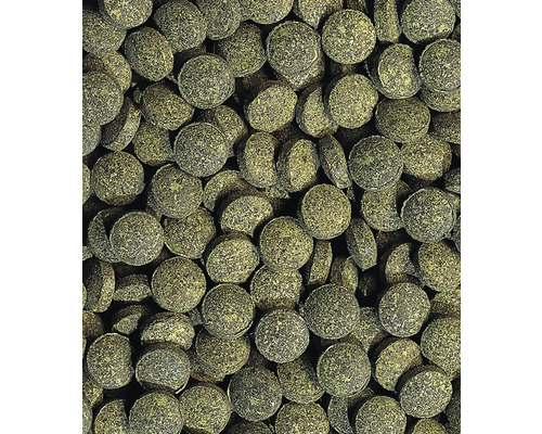 Tetra PlecoTablets hoofdvoer, 58 tabletten