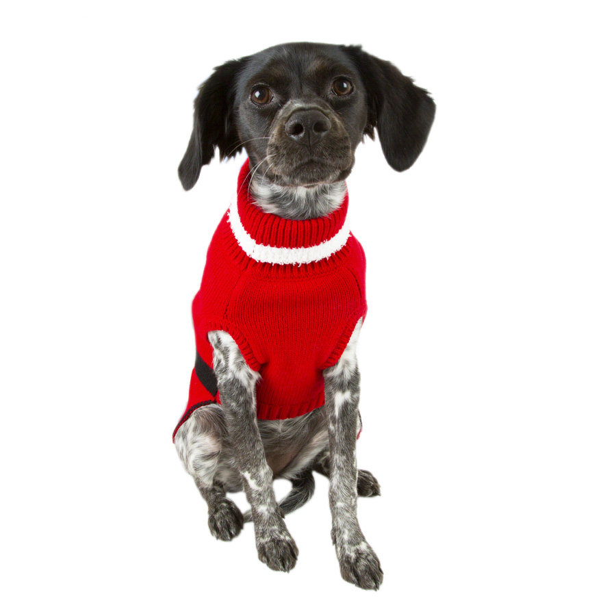 Suéter de Natal do Papai Noel para cães