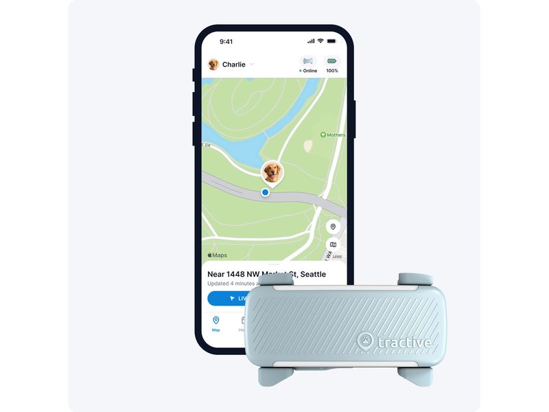 tractive GPS-Tracker DOG 6 Mint GPS Tracker für Hunde