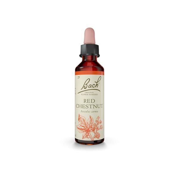 Red Chestnut (Otimismo) Floral De  Bach