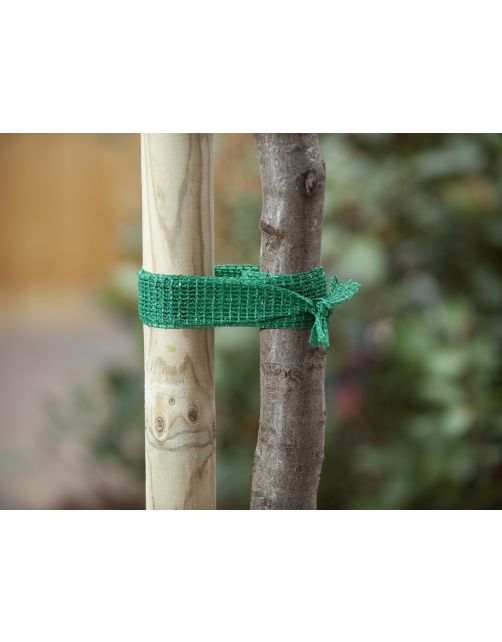 Nature Uni Boomband - Klim-En Geleide Artikel - 200x4 cm Groen
