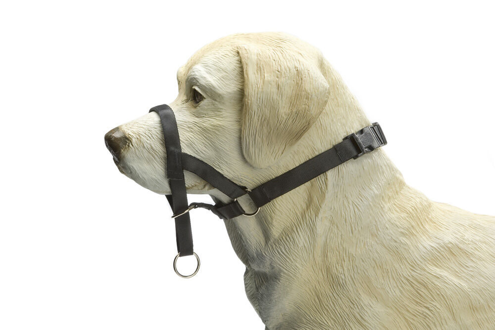 Beeztees Dog Control - Correctiehalsband Hond - zwart - 38 cm
