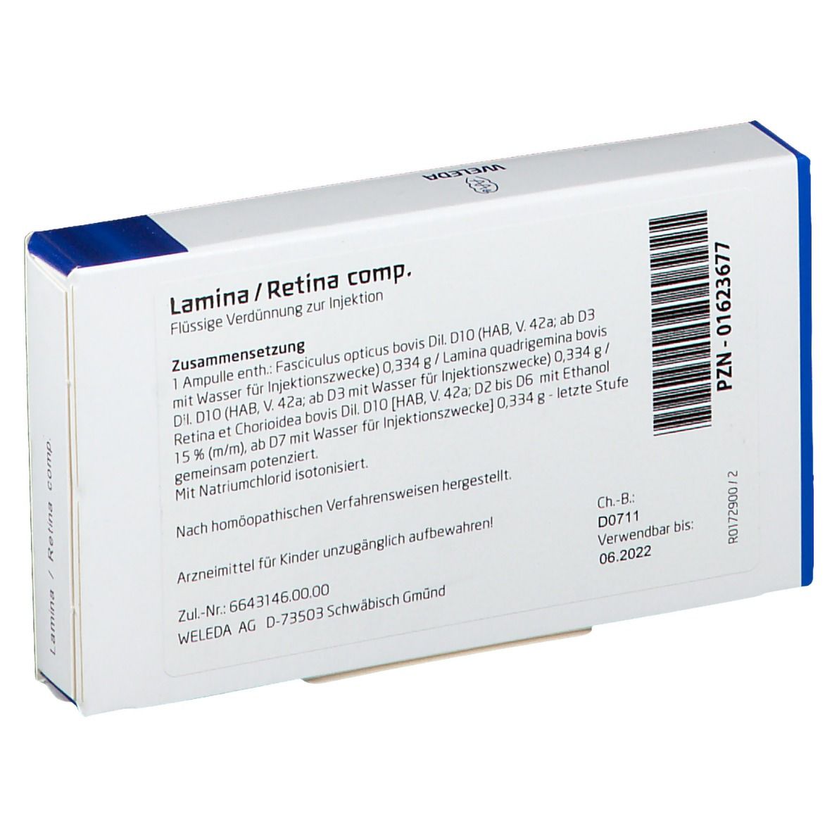 Lamina / Retina Comp. Amp.
