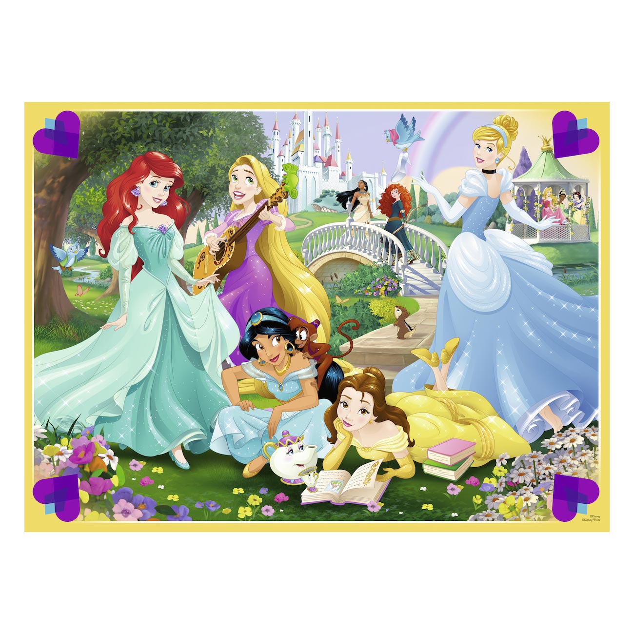 De Disney Prinsessen, 100st. XXL
