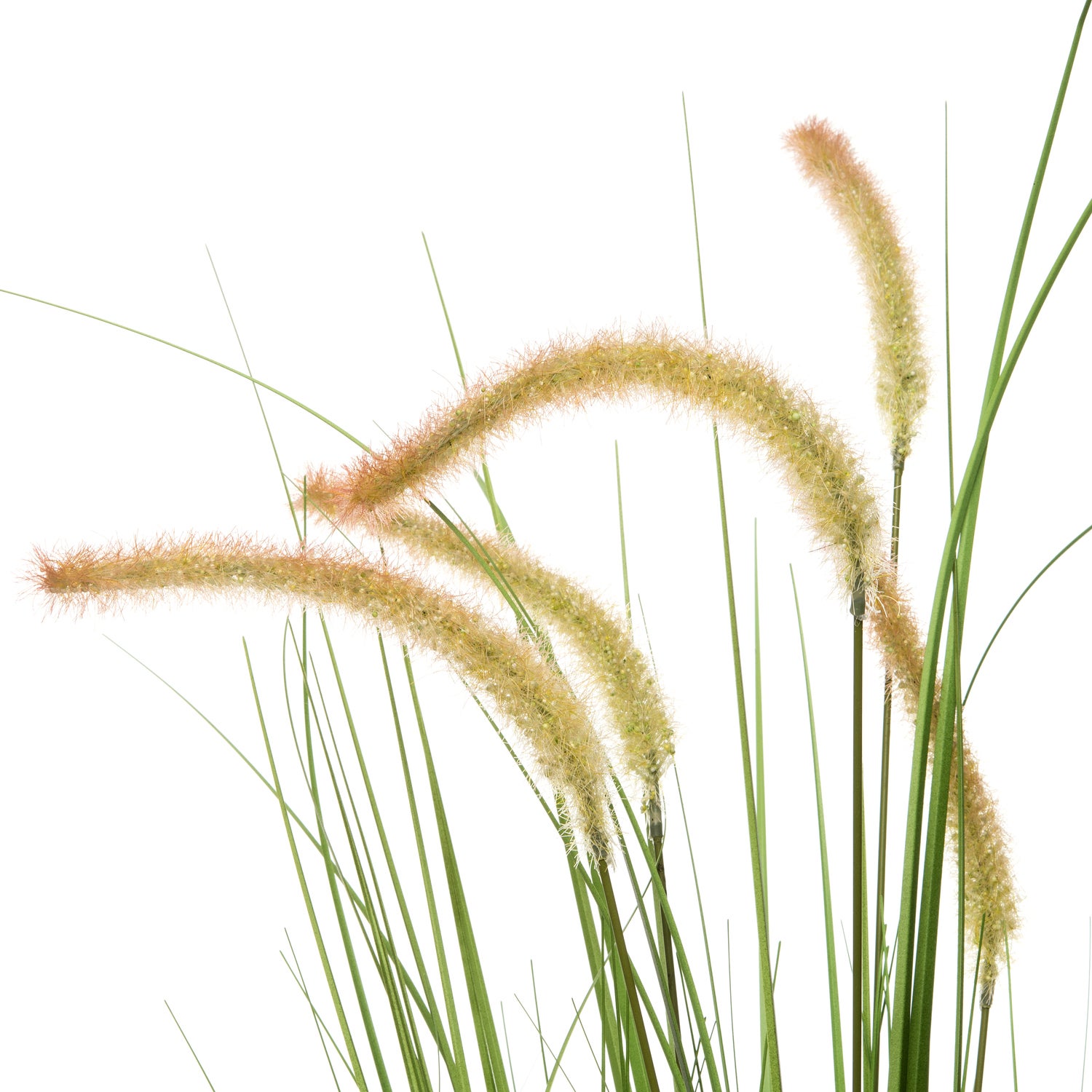 Intratuin kunstplant Pennisetum D 65 H 160 cm